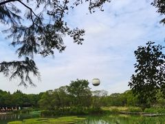 -西溪国家湿地公园