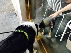-KYO COFFEE(胶州路店)