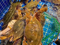 -驻海渔市(置信店)