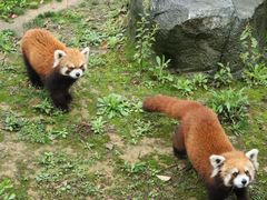 -杭州野生动物世界