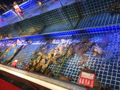 -必点海鲜·鲅鱼水饺(鞍山西道店)