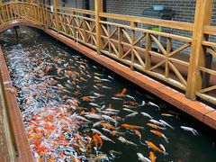 -侠成水上农庄(工业大道店)