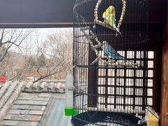 -小吊梨汤·北京菜(香山店)