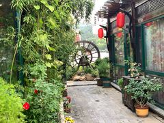 -慢丽江·云南野生菌土鸡锅(付家庄店)