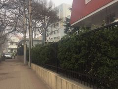 -青岛市口腔医院(总院)