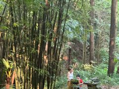 -凤栖山