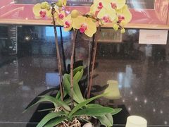 -广州花园酒店