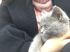 -美联众合动物医院(·中兽医·疑难杂症·严家桥分院)