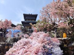 -茅山东方盐湖城景区