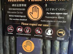 -怀托摩萤火虫洞