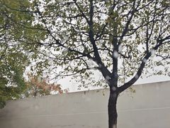 -长沙黄花国际机场-T1航站楼