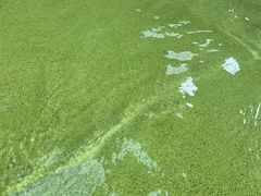 -天山海世界·米立方