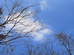 -紫金山索道-售票处