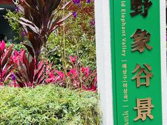 -野象谷景区