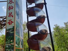 -欢乐松鼠谷