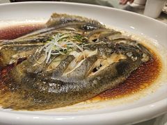 清蒸多宝鱼-胡杨记忆(和平路店)