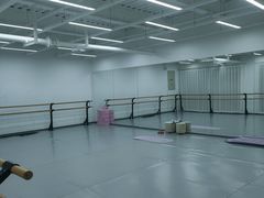-中央芭蕾舞团·中芭艺蕾(酒仙桥明星校区)