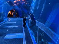-成都浩海立方海洋公园