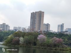 -南宁南湖公园