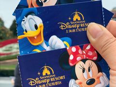 -上海迪士尼度假区