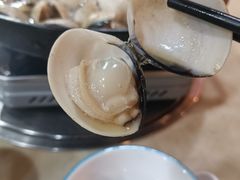 -顺德哥卜卜贝(旗舰店)