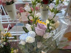 -奔驰上海利星(七宝店)