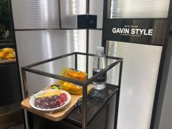 大厅-崇尚GAVIN STYLE臻选