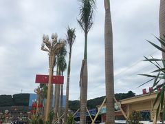 -打洛口岸