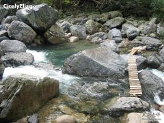 -祁门牯牛降观音堂风景区