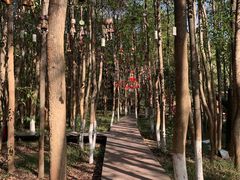 -洪湖悦兮半岛国际温泉度假村