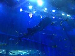 -成都浩海立方海洋公园