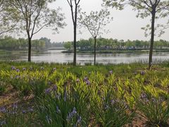 -东郊湿地公园