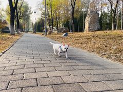 -延庆地质公园博物馆