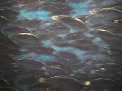 -上海油画雕塑院