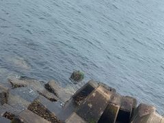 -星海广场