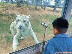 -西霞口神雕山野生动物世界