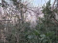 -大蜀山国家森林公园