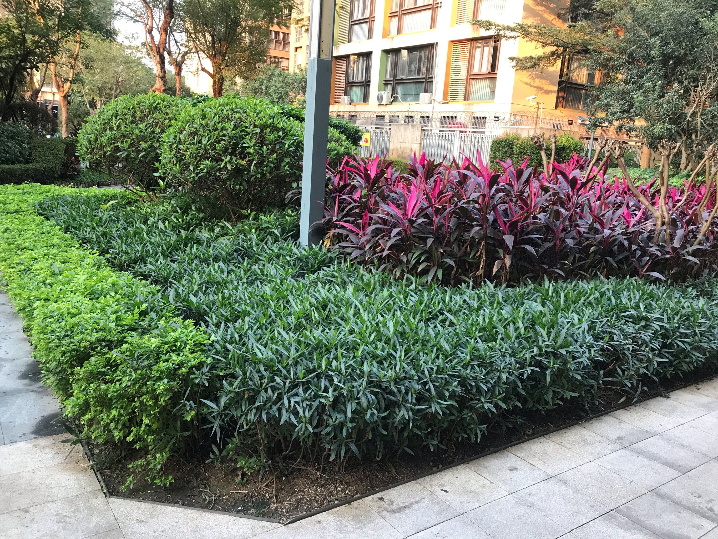 小区绿化还不错