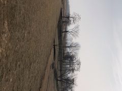 -盘龙城国家考古遗址公园