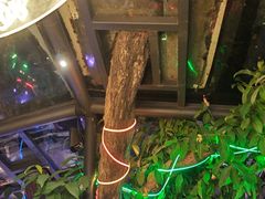 -海岛八号龙虾烧烤田鸡(蓝天路总店)