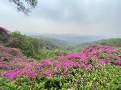 -广州市白云山风景名胜区