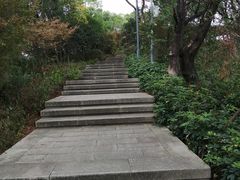 -牛岗山公园