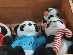 -熊猫家新派川菜(百里一·龙兴集店)