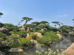 -罗红摄影艺术馆