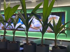 -探窝·竹笙椰子鸡(杨箕店)