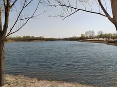 -东郊湿地公园