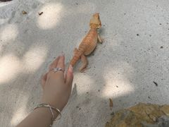 -广州长隆飞鸟乐园