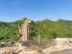 -蟠龙山长城景区