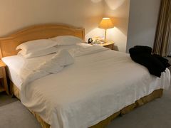 -南京维景国际大酒店(南京博物院店)