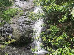 -东天目山风景区